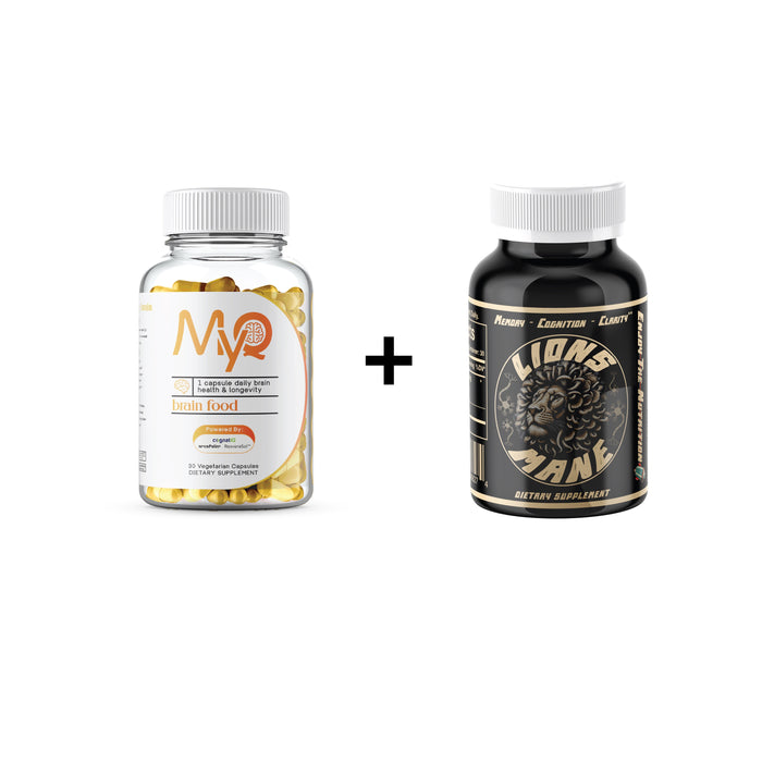 Brain Builder Stack
