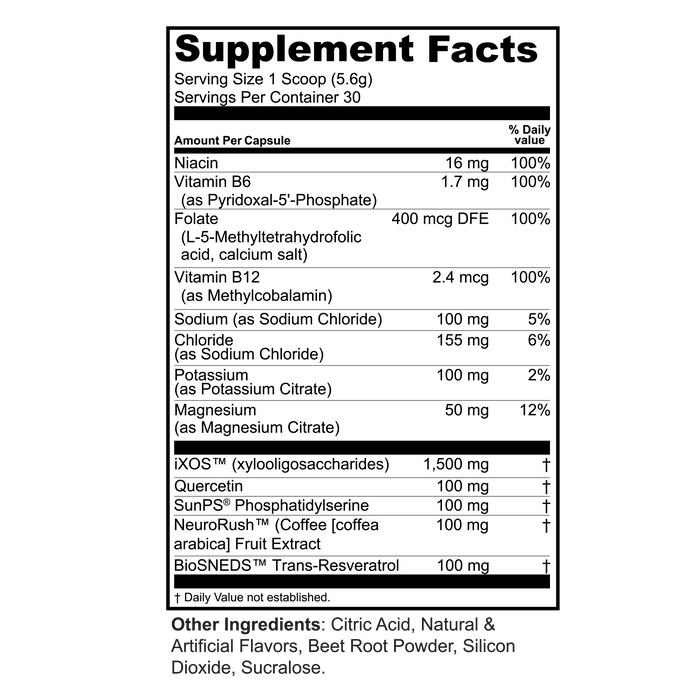 Brain Food + Electrolytes + Prebiotics Powder