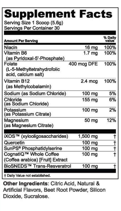Brain Food + Electrolytes + Prebiotics Powder
